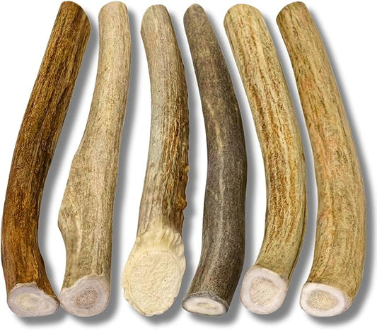 WhiteTail Naturals Antlers for Dogs (6 Pack) Deer Antler Dog Chew Bones for Small Aggressive Chewers - Long Lasting Whole Antlers - Hand Trimmed & Naturally Shed