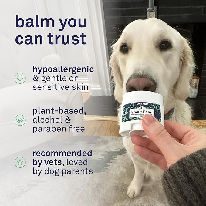 Petpost | Snout Balm for Dogs - Nourishing Snout Soother Balm Heals Dry Dog Noses with Moisturizing Ingredients - Organic Coconut Oil, Jojoba Oil, and Shea Butter 0.64 oz.