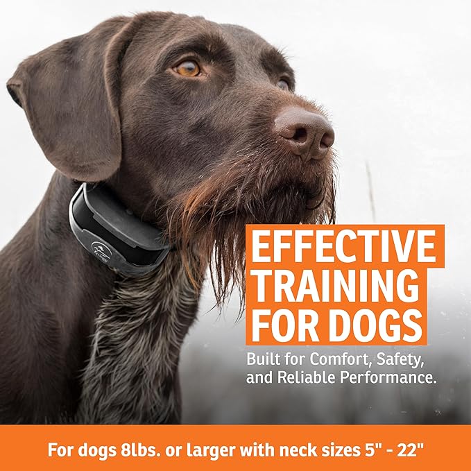 SportDOG Brand SportTrainer 1275 Remote Trainer - Bright, Easy to Read OLED Screen - 3/4 Mile Range - Waterproof, Rechargeable Dog Training Collar with Tone, Vibration, and Static, Black