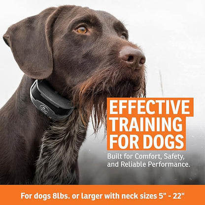 SportDOG Brand SportTrainer 1275 Remote Trainer - Bright, Easy to Read OLED Screen - 3/4 Mile Range - Waterproof, Rechargeable Dog Training Collar with Tone, Vibration, and Static, Black