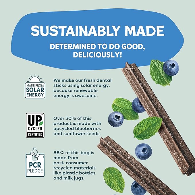 Shameless Pets Blueberry & Mint Dental Chews for Dogs, 8 Chews - Natural Dog Teeth Cleaning Treats with Fresh Breath Benefits | Grain-Free Dental Sticks for Small, Medium & Large Dogs