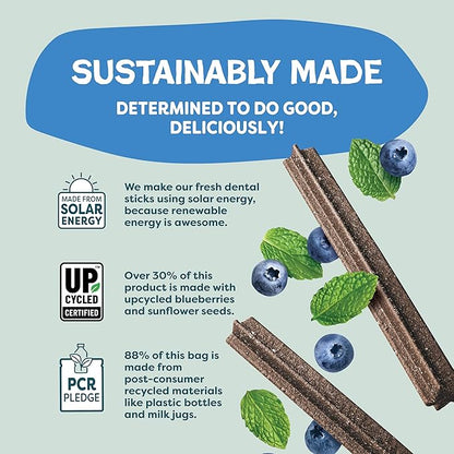 Shameless Pets Blueberry & Mint Dental Chews for Dogs, 8 Chews - Natural Dog Teeth Cleaning Treats with Fresh Breath Benefits | Grain-Free Dental Sticks for Small, Medium & Large Dogs