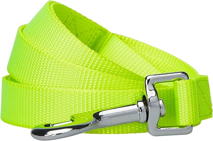 Blueberry Pet Essentials Highlighter Yellow Dog Leash for Medium - 5' * 3/4" Dogs | Heavy Duty Nylon Lead | Lightweight Puppy & Cat Leash for Walking & Training