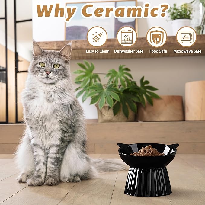 Wellbro Ceramic Raised Cat Bowl，Tilted Raised Bowl Anti Vomit for Indoor Cats Whisker Friendly Pet Feeder for Cats Puppies, Microwave and Dishwasher Safe (Black)