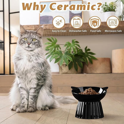 Wellbro Ceramic Raised Cat Bowl，Tilted Raised Bowl Anti Vomit for Indoor Cats Whisker Friendly Pet Feeder for Cats Puppies, Microwave and Dishwasher Safe (Black)