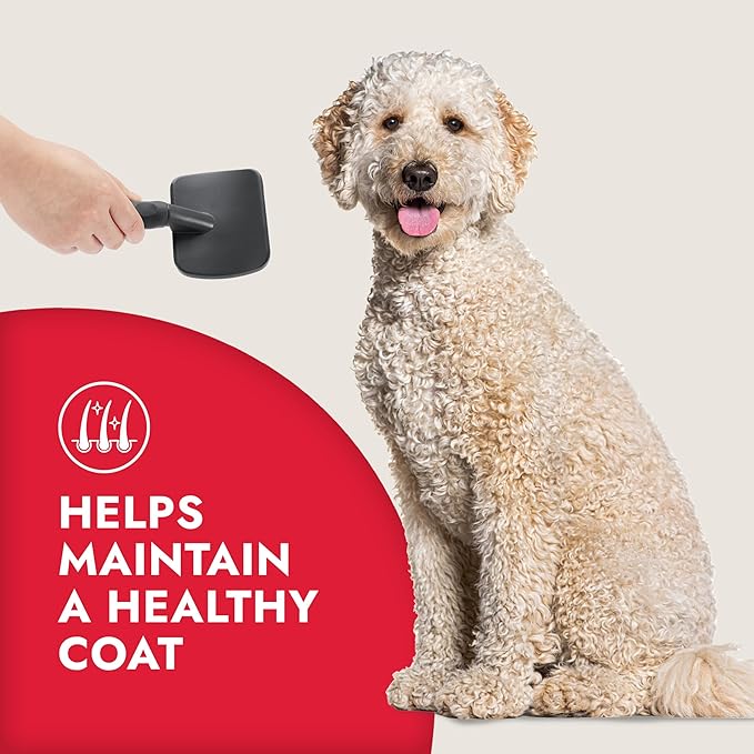 KONG Large Slicker Brush – Removes Loose Hair, Reduces Shedding, Comfortable Non-Slip Grip, Long Metal Pins, for Medium to Large Dogs with Medium to Long Coats, Red/Gray