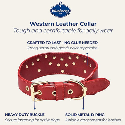 Blueberry Pet Western Leather Dog Collar - Genuine Leather with Floral Embroidery & Pearl Studs Adjustable 15-18 Inch Neck for Medium Dogs, Comfortable and Stylish Pet Collar