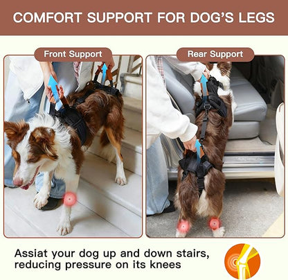 Dog Lift Harness, Full Body Dog Harness with Handle for Lifting, Front/Back Leg Support, Prevent Chafing Pee-Able Design, 2-in-1 Detachable Dog Assist Harness for Senior Disabled Dogs Up to 40lb
