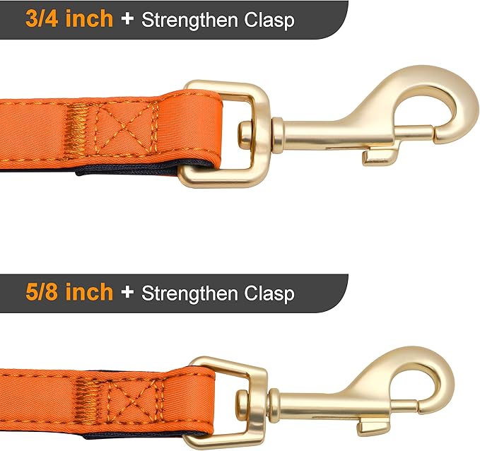 Didog 5FT Colorful Nylon Dog Leash with Soft Full-Length Padding, Lightweight and Durable Pet Leash for Small Dogs, Orange, S