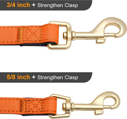 Didog 5FT Colorful Nylon Dog Leash with Soft Full-Length Padding, Lightweight and Durable Pet Leash for Medium and Large Dogs, Orange, M