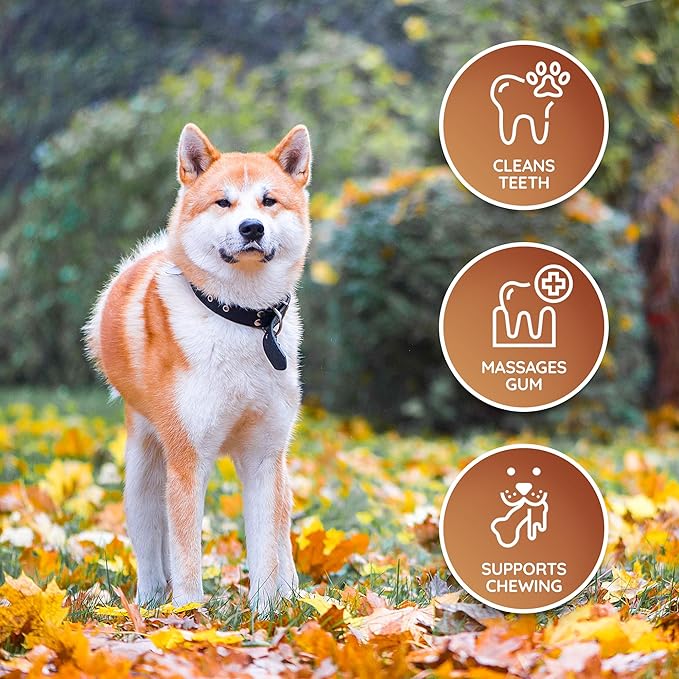 Wildfang® Leather Dog Toy, Medium – Soft Dog Chew Toys for Gentle Chewers, Puppies, Senior or Older Dogs with Sensitive Teeth – Non-Toxic, Stuffless, 5mm Leather Dog Bone for Dogs 22–33 lbs, Pack of 3