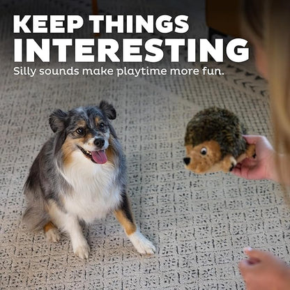 Outward Hound Hedgehogz Stuffed Dog Toy – Soft Plush Hedgehog, Grunts & Squeaks, Medium, 9" x 5" x 6.5"