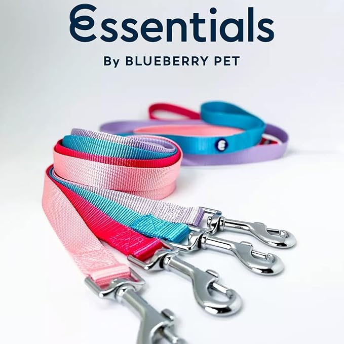 Blueberry Pet Essentials Rouge Red Dog Leash for X-Small -5' * 3/8" Dogs | Heavy Duty Nylon Lead | Lightweight Puppy & Cat Leash for Walking & Training