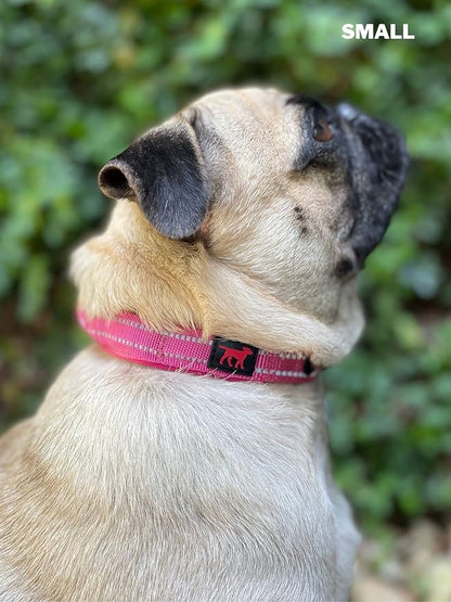 Tuff Pupper Heavy Duty Dog Collar with Handle | Ballistic Nylon Heavy Duty Collar | Padded Reflective Dog Collar with Adjustable Stainless Steel Hardware | Convenient Sizing for All Breeds