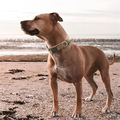 EXCELLENT ELITE SPANKER Nylon Puppy Dog Collar Adjustable Soft Padded Collar Heavy Duty Quick-Release Buckle Lightweight No-Choke for Small Medium Dogs(Grey,s)