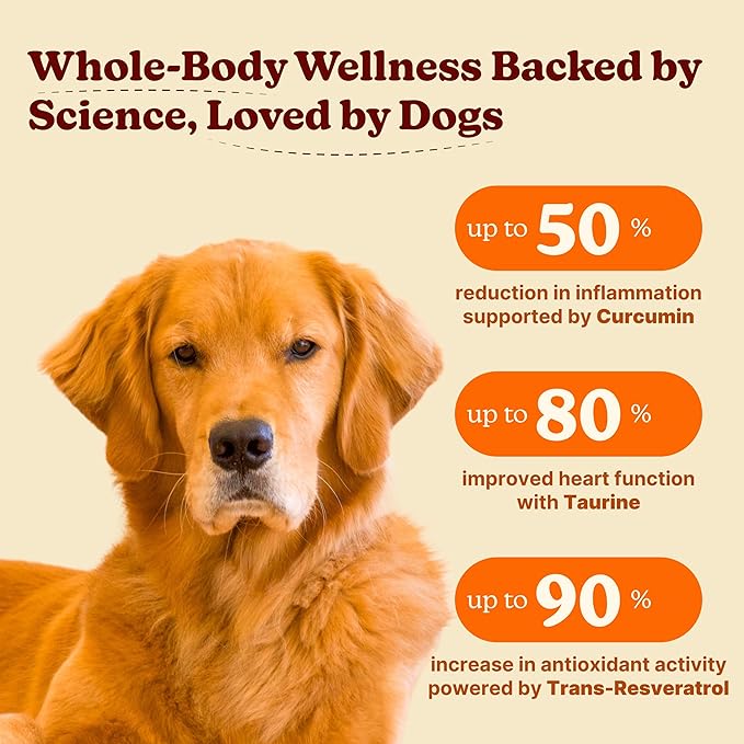 Longevity Dog Multivitamin 11-in-1 Daily Chews Chicken Flavored with Flaxseed, 60 Count, Supports Hip and Joint Health, Immune System, Skin and Coat, Heart Health, Energy and Vitality