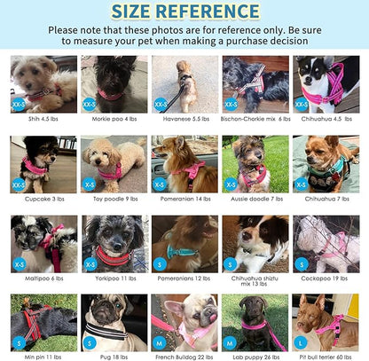 SlowTon No Pull Small Dog Harness and Leash Set, Puppy Soft Vest Harness Neck & Chest Adjustable, Reflective Lightweight Harness & Anti-Twist Pet Lead Combo for Small Medium Dogs(FU,L)