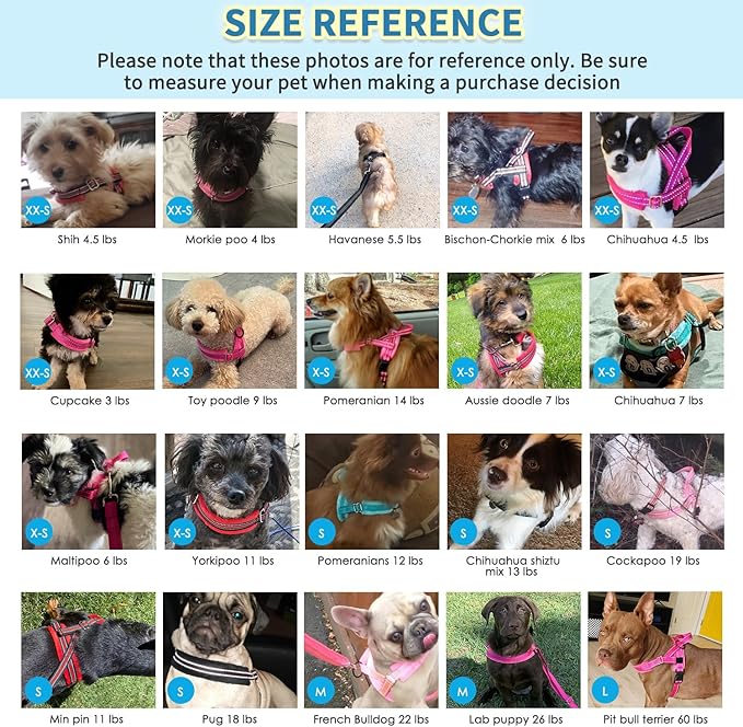 SlowTon No Pull Small Dog Harness and Leash Set, Puppy Soft Vest Harness Neck & Chest Adjustable, Reflective Lightweight Harness & Anti-Twist Pet Lead Combo for Small Medium Dogs(G,XXS)