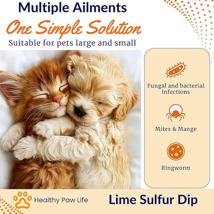 Healthy Paw Life - Lime Sulfur Dip - Pet Care for Itchy and Dry Skin - Xtra Strength Formula - Safe Solution for Dog, Cat, Puppy, Kitten, Horse (1 Gallon)