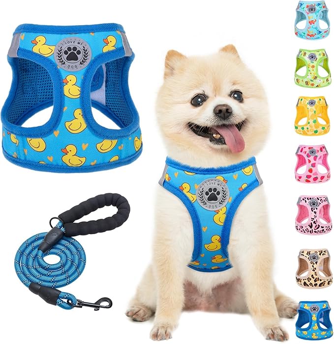BEAUTYZOO Step in Dog Harness and Leash Set,Reflective Dog Harness No Pull No Choke Puppy Harness for Small Medium Large Dogs Cats,Soft Padded Mesh Vest Harnesses for Girl and Boy Pets,Duck Blue M