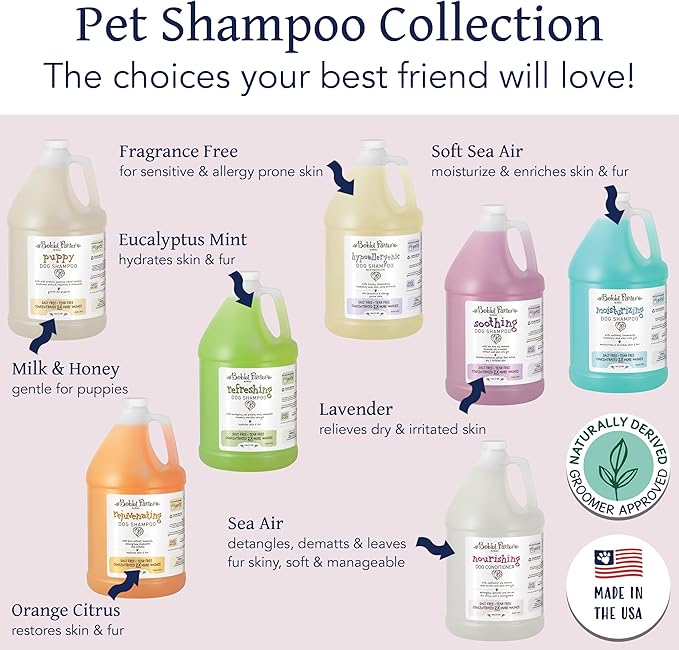 Bobbi Panter Nourishing Dog Conditioner - Detangles & De-Matts with Natural Safflower Oil, Keratin, Shea Butter, Aloe Vera for Fur, Sea Air Scent, 10:1 Concentrate,Made in The USA, 1 Gal. (Case of 4)