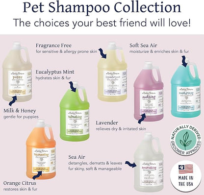 Bobbi Panter Nourishing Dog Conditioner - Detangles & De-Matts with Natural Safflower Oil, Keratin, Shea Butter, Aloe Vera for Fur, Sea Air Scent, 10:1 Concentrate,Made in The USA, 1 Gal. (Case of 4)