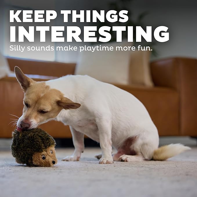 Outward Hound Hedgehogz Stuffed Dog Toy – Soft Plush Hedgehog, Squeaks, 6" x 4" x 4.5"
