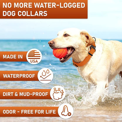 NexaPaw Biothane Dog Collar with Cobra Buckle - Made in USA - QR Code Dog Tag ID Included - Adjustable Heavy Duty Dog Collars for Medium Large Dogs - Waterproof Military Grade Tactical (3/4", Orange)