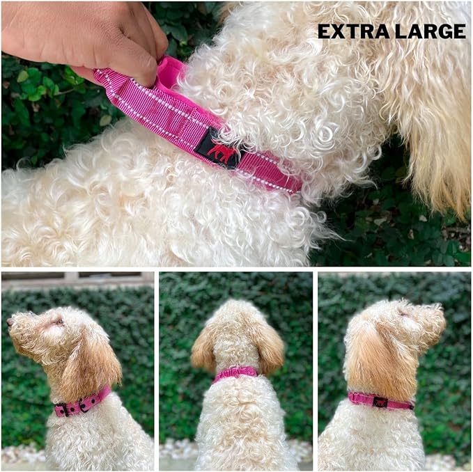 Tuff Pupper Heavy Duty Dog Collar with Handle | Ballistic Nylon Heavy Duty Collar | Padded Reflective Dog Collar with Adjustable Stainless Steel Hardware | Convenient Sizing for All Breeds