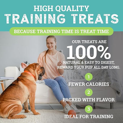 etta says! Training Treats - All Natural Cheese Soft Treats for Dogs - Made in The USA (16 Oz Pack of 1)