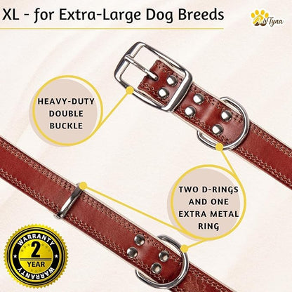 ADITYNA Heavy-Duty Big Leather Dog Collar for Extra-Large Dogs - Soft Padded for Comfort - XL Dog Collar for Walking, Training, and Hiking