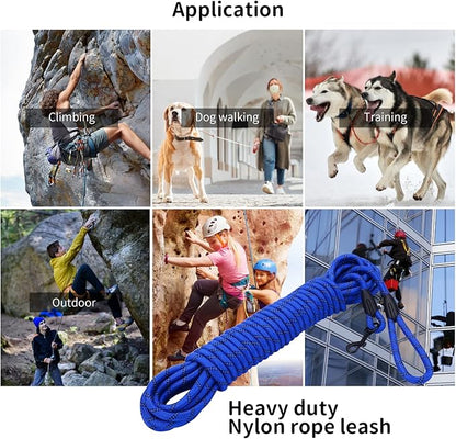 Long Dog Leash for Training 20Ft-Reflective Nylon Rope with Swivel Hook-Recall Agility Lead for Large Small Medium Dogs Outside Walking Hiking-Royal Blue Diam 1/2"