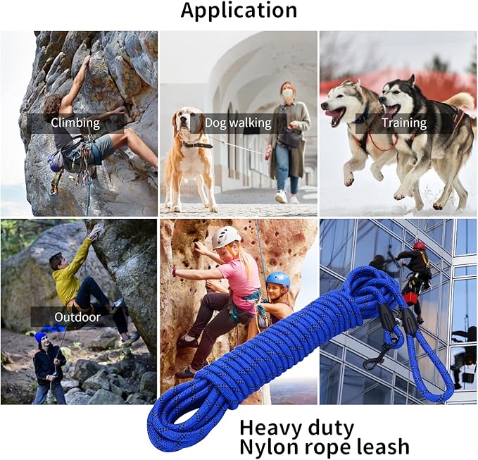 Long Dog Leash for Training 30Ft-Reflective Nylon Rope with Swivel Hook-Recall Agility Lead for Large Small Medium Dogs Outside Walking Hiking-Royal Blue