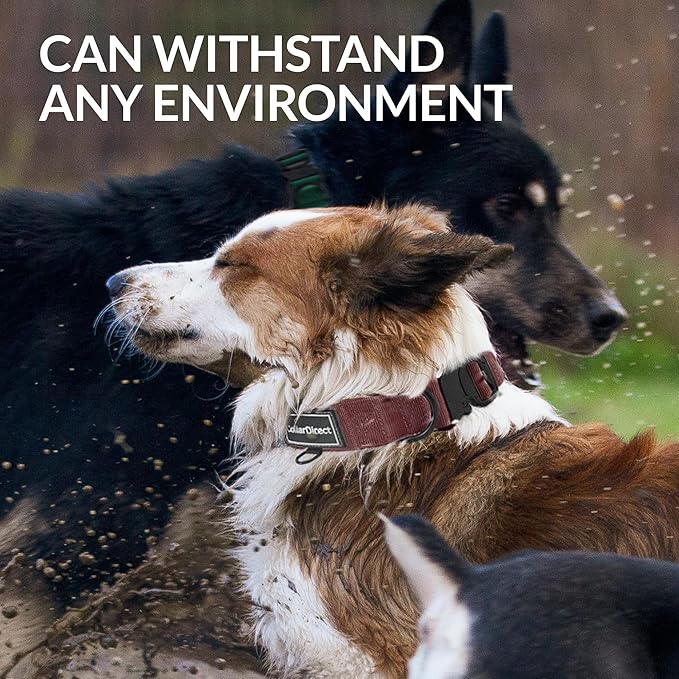 Heavy Duty Dog Collar for Large or Medium Dogs, Adjustable Strong Dog Collar for Active Dogs, Double-Layered Nylon (Rust, 14-20)