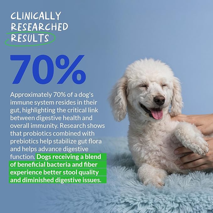 Probiotics for Dogs Digestive Health - Support Gut Health, Diarrhea, Gas, & Seasonal Allergies - with Honey, Pumpkin and Prebiotics for Digestive Support, Bad Dog Breath & Constipation