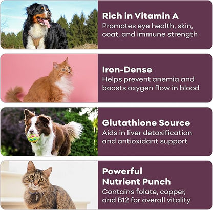 Skona PetFood Beef Liver Jerky Dog & Cat Treats, Single-Ingredient, High Protein Training Snacks, Natural & Healthy, USA Made, Supports Digestion, Energy & Shiny Coat, Rich in Nutrients, 4oz