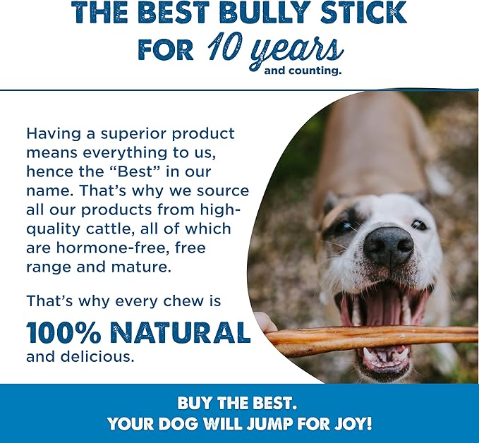 Best Bully Sticks 12 Inch Bully Sticks for Dogs - 50 Count (Pack of 1) - Natural, Easily Digestible, 100% Grass-Fed Beef, Grain and Rawhide Free