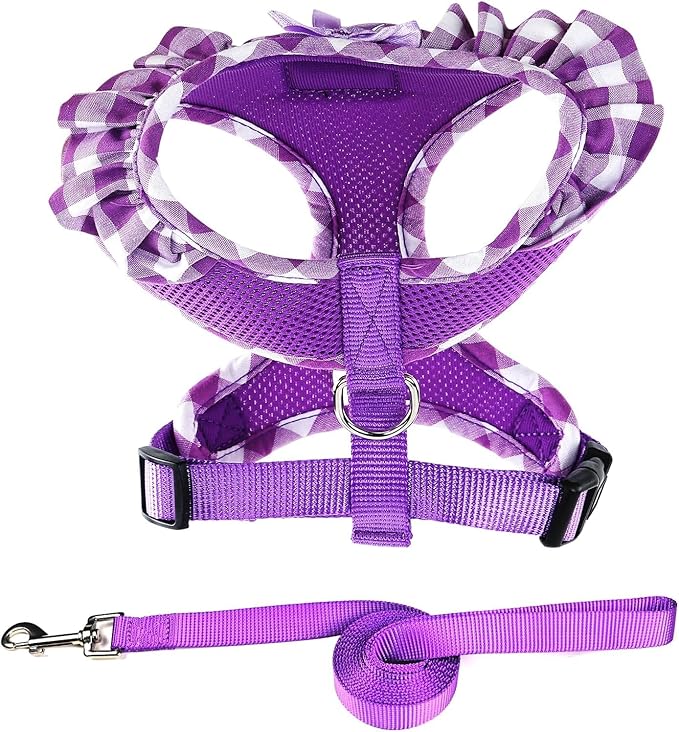 SuperBuddy Upgraded Soft Mesh Dog Harness, Super Breathable Lightweight Pet Harnesses for Puppy Dogs Outdoor Walking, Purple Dog Harness and Dog Leash Set Packing -XSmall