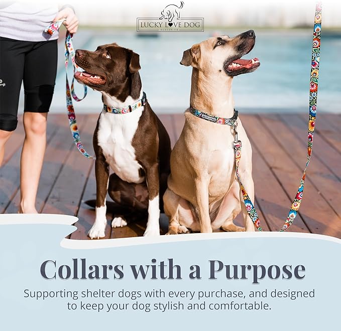 Lucky Love Dog - Adjustable Dog Collar with Easy Click Buckle for Medium, Durable, & Comfortable for Male & Female Dogs, Pet Collar for Puppies & Adult Dogs - Blackbird, Medium