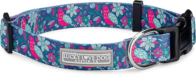 Lucky Love Dog - Adjustable Dog Collar with Easy Click Buckle for Medium Dogs, Durable, & Comfortable for Male & Female Dogs, Pet Collar for Puppies & Adult Ones - Carriebelle, Medium