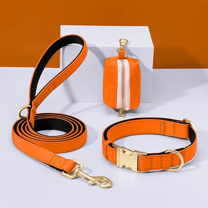 Didog Soft Padded Dog Collars for Medium Dogs, Colorful and Durable Dog Collar with Quick Release Buckle, Light and Breathable for Daily Walking, Orange, M