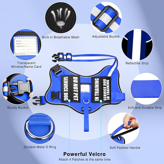 Service Dog Vest Harness and Leash Set+10 Patches,No Pull&Easy Walk Reflective Dog Harness with Soft Padded Handle for Training/Everyday,Fit Small/Medium/Large/Extra-Large Dogs (Blue L)