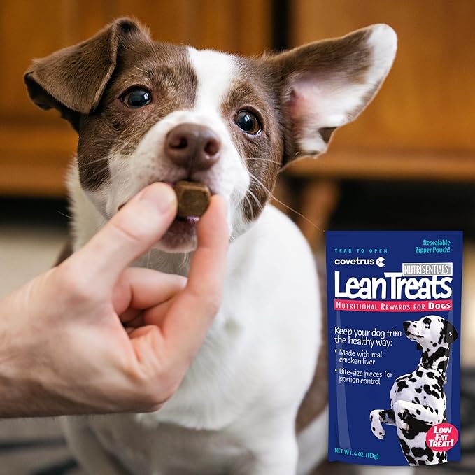 Covetrus Nutrisential Lean Treats for Dogs - Small, Medium & Large Dogs (K9) - Nutritional Low Fat, Bite-Size - Soft Chicken Flavor - 1 Pack - 4oz