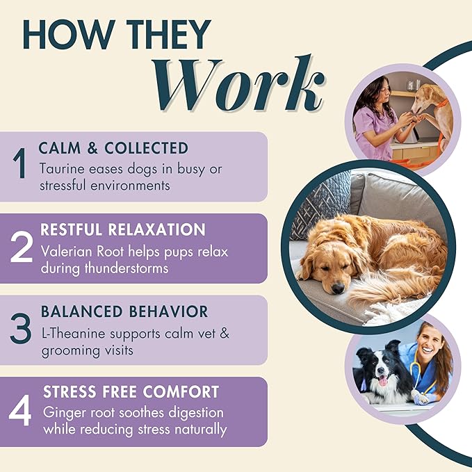 Wholistic Pet Calm & Relaxed - Calming Chews for Dogs - L-Theanine Manages Stress & Separation Anxiety - Melatonin for Dogs Anxiety Relief & Sleep Aid - Daily Dog Calming Treats - Bacon - 90 Chews