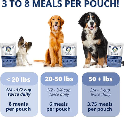 Under the Weather Bland Diet for Dogs | Easy to Digest for Sick Dogs |Always Be Ready| Contains Electrolytes - All Natural Freeze Dried 100% Human Grade Meats| 6 Pack- Rice Turkey & Sweet Potato - 6oz