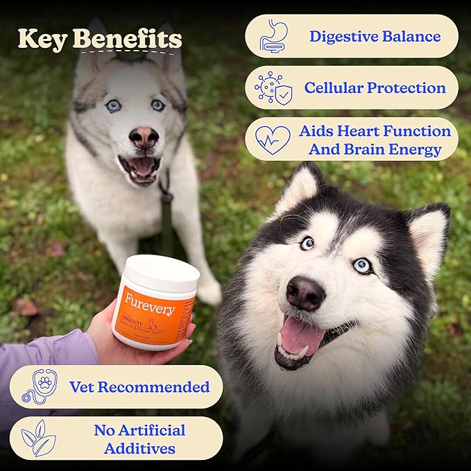 Longevity Dog Multivitamin 11-in-1 Daily Chews Chicken Flavored with Flaxseed, 60 Count, Supports Hip and Joint Health, Immune System, Skin and Coat, Heart Health, Energy and Vitality