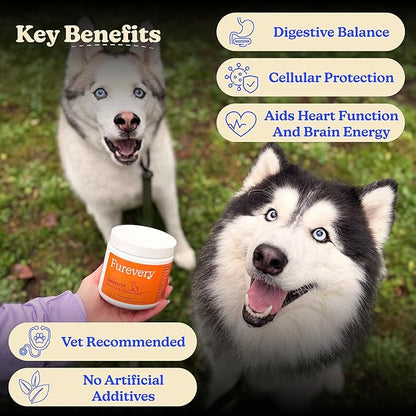 Longevity Dog Multivitamin 11-in-1 Daily Chews Chicken Flavored with Flaxseed, 60 Count, Supports Hip and Joint Health, Immune System, Skin and Coat, Heart Health, Energy and Vitality