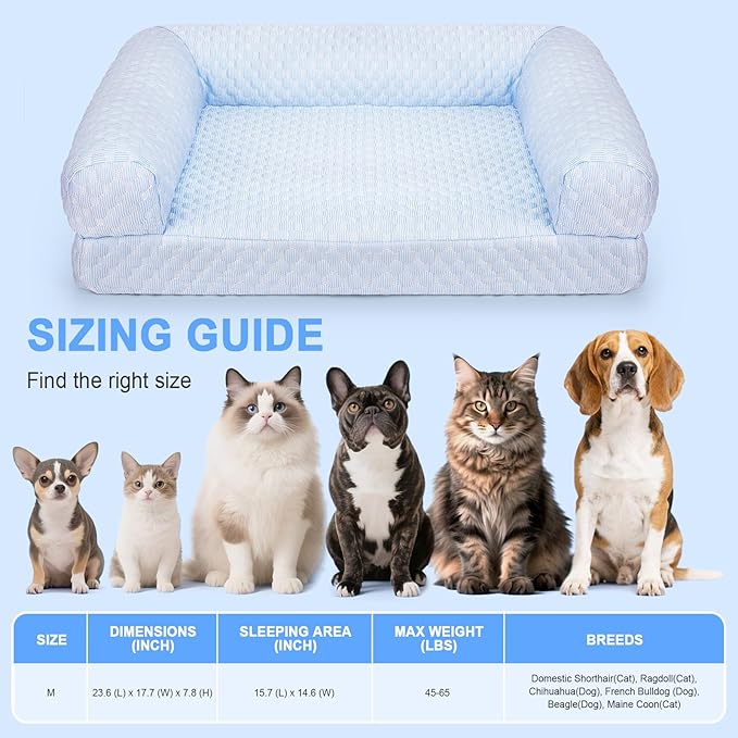 Foamio Cat Bed, Cat Beds for Indoor Cats, Summer Cooling Pet Sofa Bed, Washable Medium Pet Bed for Puppy and Small to Large Kitten with Anti-Slip Bottom, Fits Up to 65lbs Pets