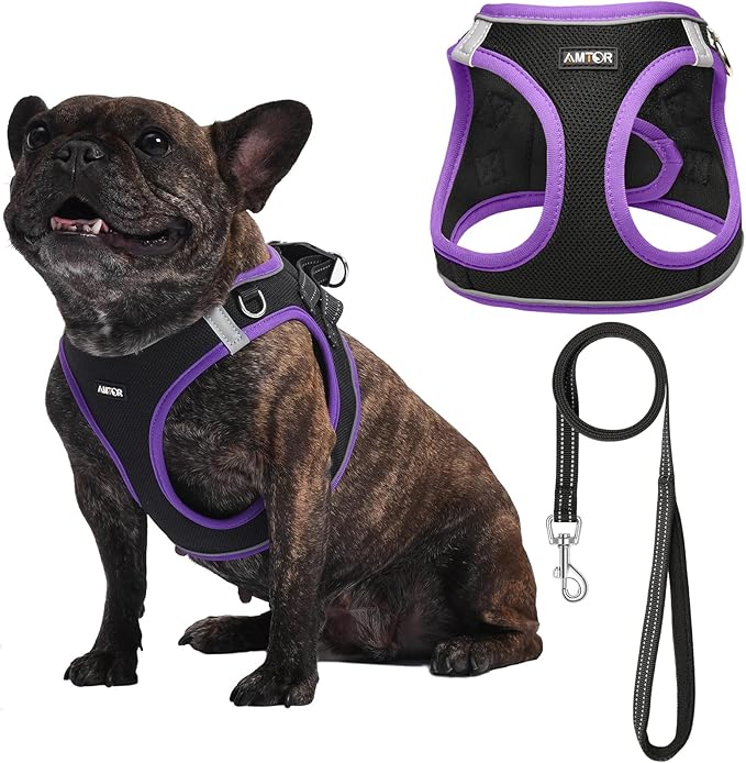 AMTOR Small Dog Harness with Leash Set, No Escape Easy Walk Puppy Harnesses for Training Walking, Step-in Reflective Soft Dogs Vest for XS S Medium Extra-Small Large Sized Dog(L,Black/Purple)