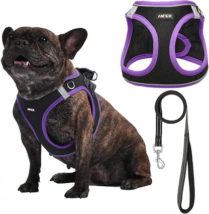 AMTOR Small Dog Harness with Leash Set, No Escape Easy Walk Puppy Harnesses for Training Walking, Step-in Reflective Soft Dogs Vest for XS S Medium Extra-Small Large Sized Dog(XS,Black/Purple)